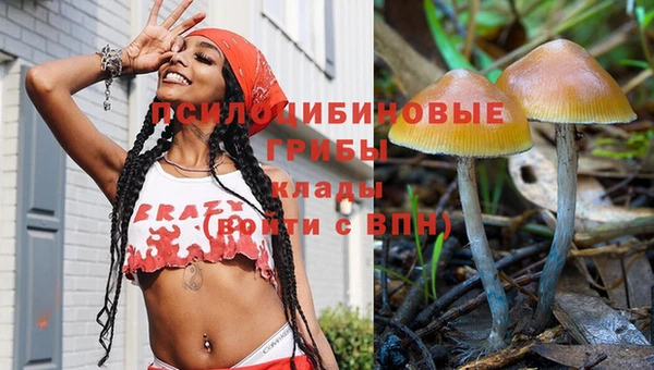 СК Абинск
