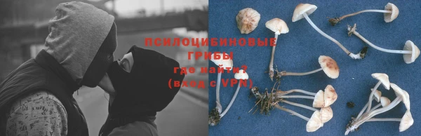 СК Абинск