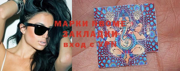 хмурый Алексин
