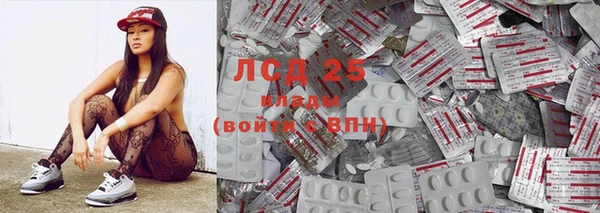 хмурый Алексин