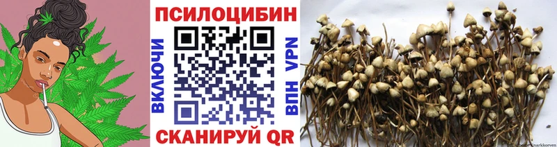 где продают наркотики Тимашёвск Галлюциногенные грибы мухоморы